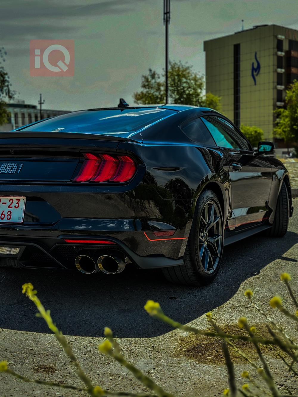 فورد موستانج